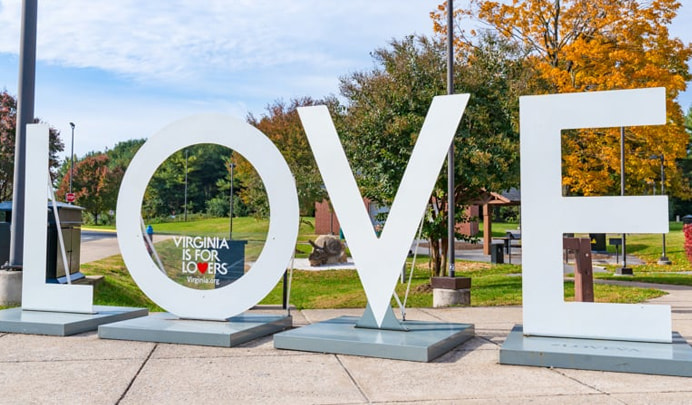 Virginia is for Lovers LOVE art